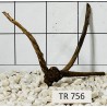 Spiderwood 756