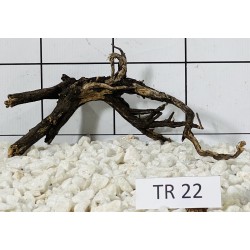 Spiderwood 22