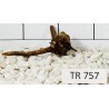 Spiderwood 757