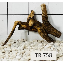 Spiderwood 758