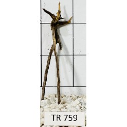 Spiderwood 759