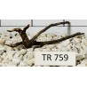 Spiderwood 759