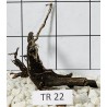 Spiderwood 22