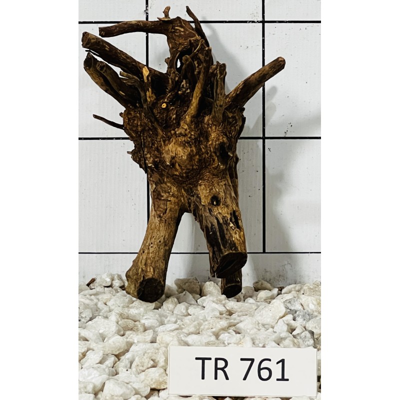 Spiderwood 761