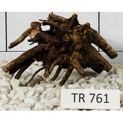 Spiderwood 761