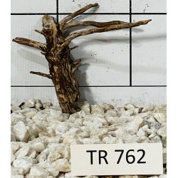 Spiderwood 762