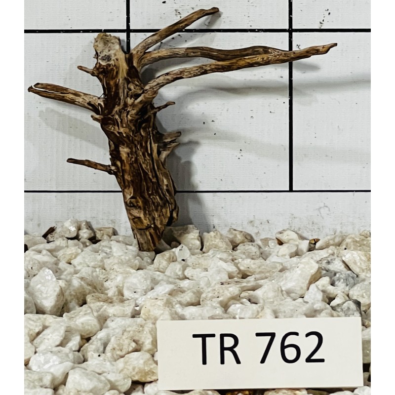 Spiderwood 762