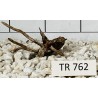Spiderwood 762