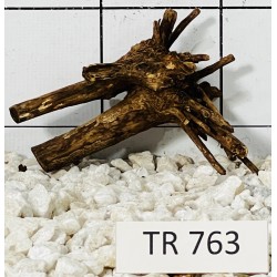 Spiderwood 763