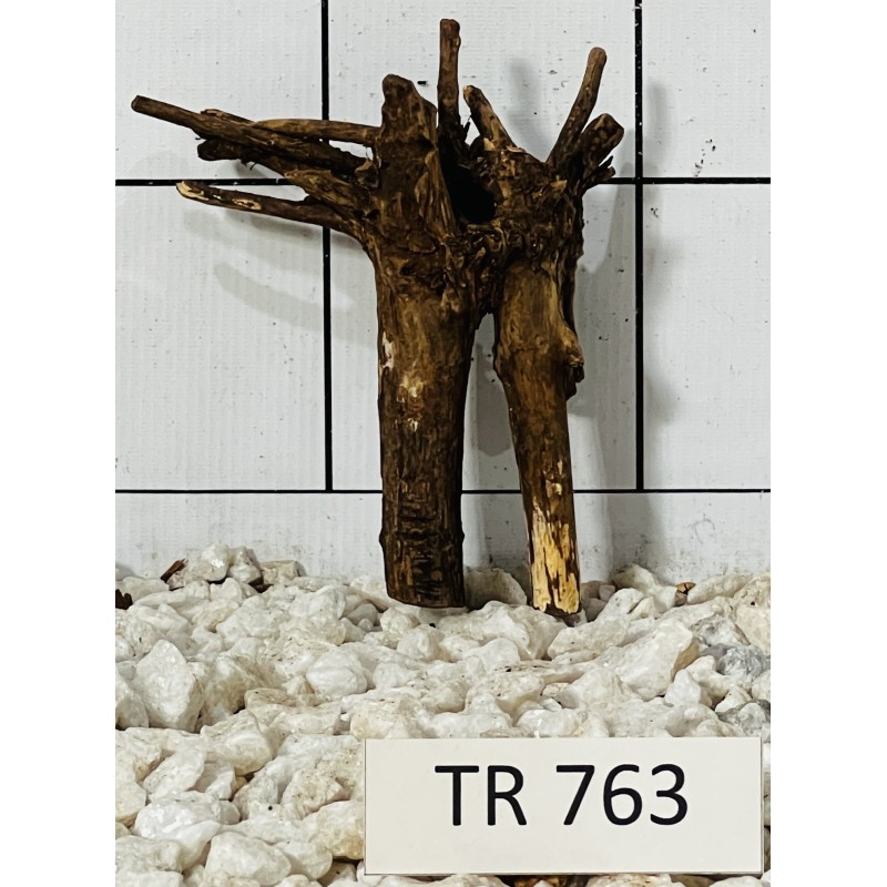 Spiderwood 763