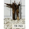 Spiderwood 763