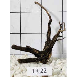 Spiderwood 22