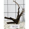 Spiderwood 22