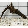 Spiderwood 764