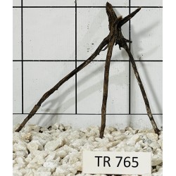 Spiderwood 765