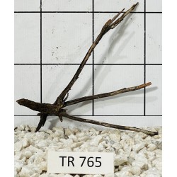 Spiderwood 765