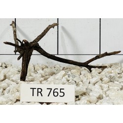 Spiderwood 765