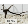Spiderwood 765