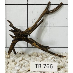 Spiderwood 766