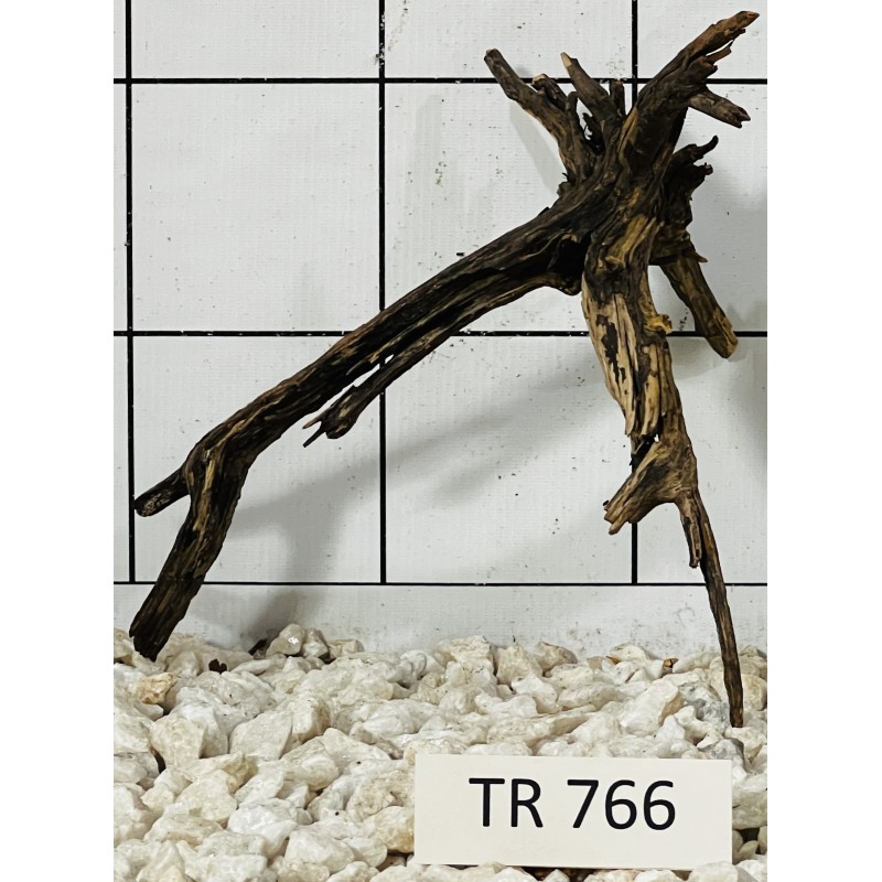Spiderwood 766