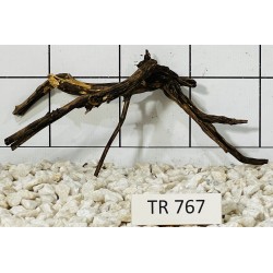 Spiderwood 767
