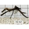 Spiderwood 767