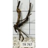 Spiderwood 767