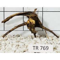 Spiderwood 769