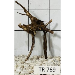 Spiderwood 769