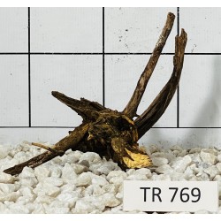 Spiderwood 769