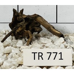 Spiderwood 771