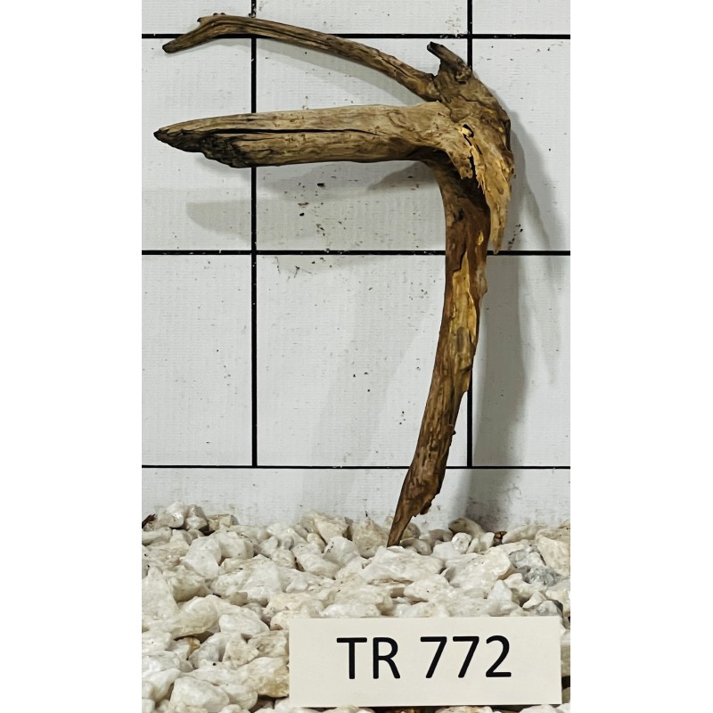 Spiderwood 772