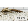 Spiderwood 772