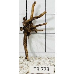 Spiderwood 773