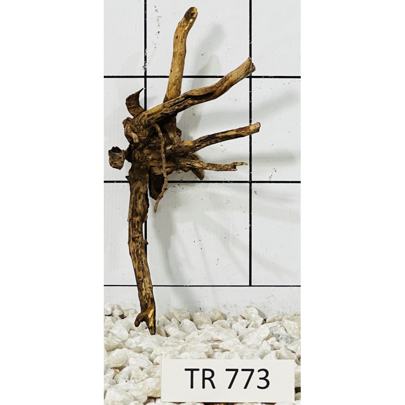 Spiderwood 773