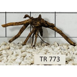 Spiderwood 773