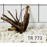 Spiderwood 773