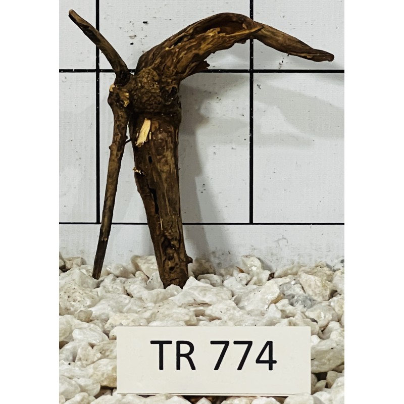 Spiderwood 774