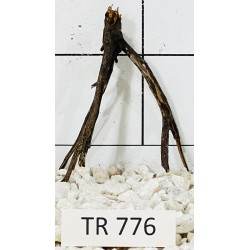 Spiderwood 776