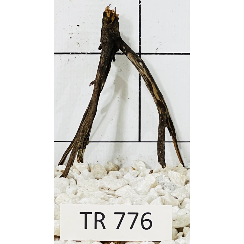 Spiderwood 776