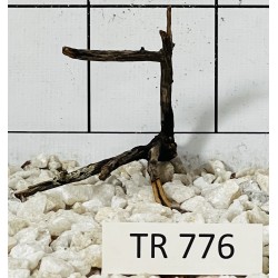 Spiderwood 776