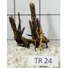 Spiderwood 24