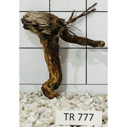 Spiderwood 777