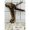 Spiderwood 777