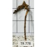 Spiderwood 778
