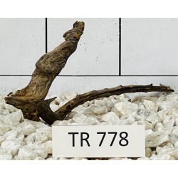 Spiderwood 778