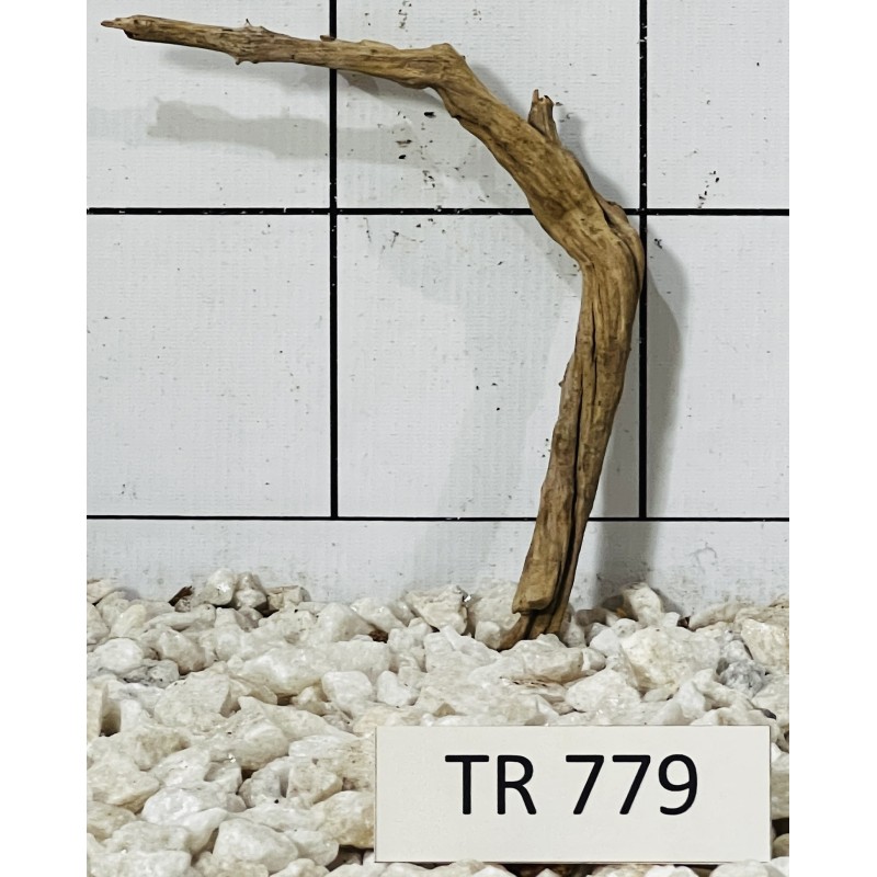 Spiderwood 779