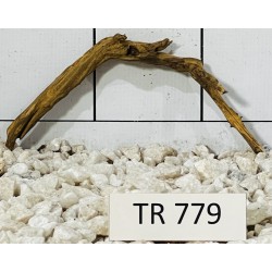 Spiderwood 779