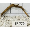 Spiderwood 779