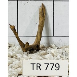 Spiderwood 779